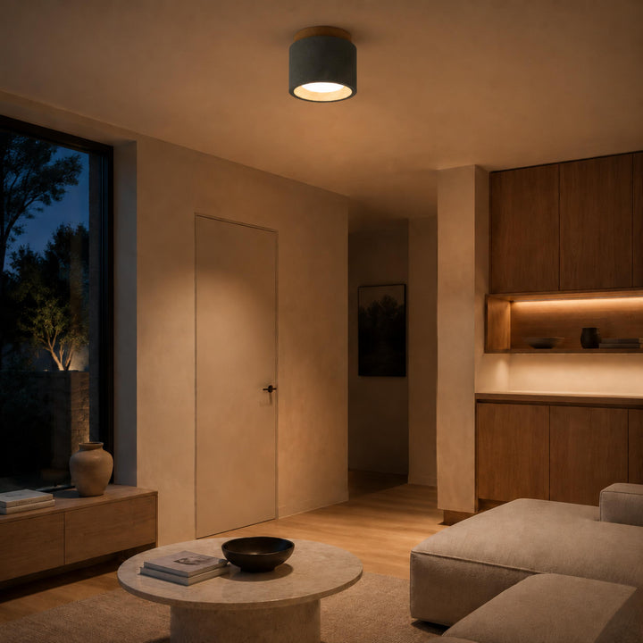 Modern Minimalist Flush Mount Ceiling Light Cement LED Adjustable Color Temperature 685 Lumens