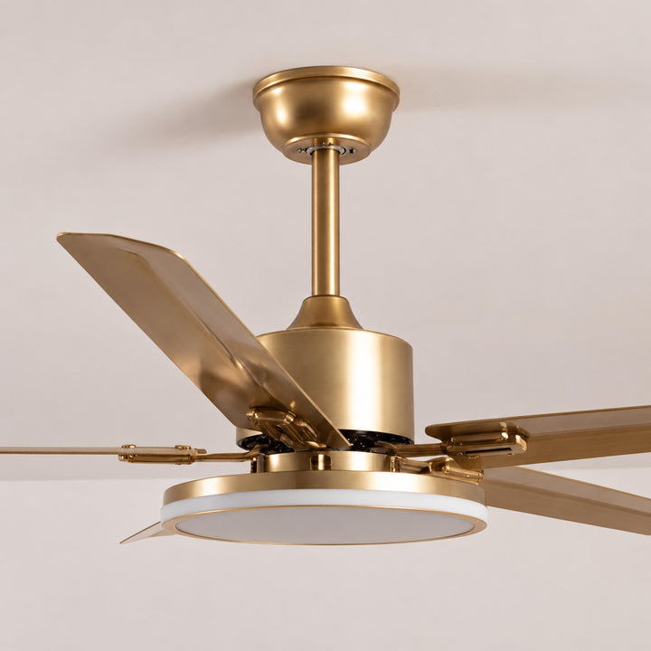 Modern Flush Mount Ceiling Fan Light Stainless Steel Acrylic LED 6-Speed DC Motor