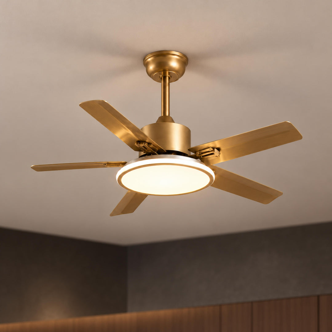 Modern Flush Mount Ceiling Fan Light Stainless Steel Acrylic LED 6-Speed DC Motor