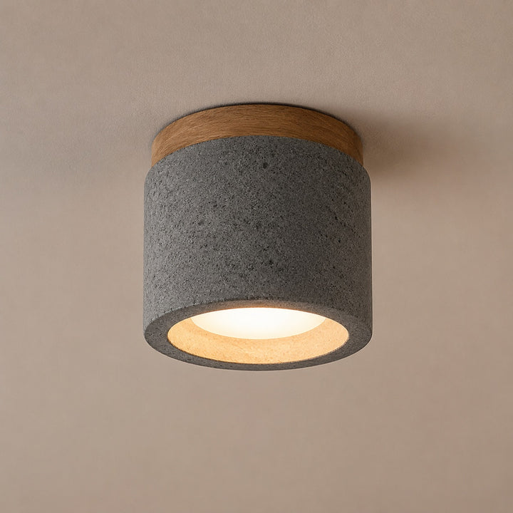 Modern Minimalist Flush Mount Ceiling Light Cement LED Adjustable Color Temperature 685 Lumens