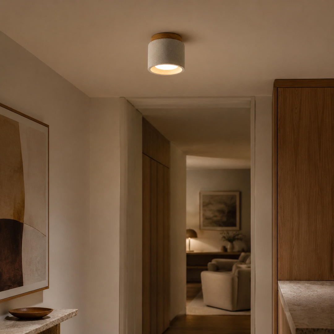Modern Minimalist Flush Mount Ceiling Light Cement LED Adjustable Color Temperature 685 Lumens