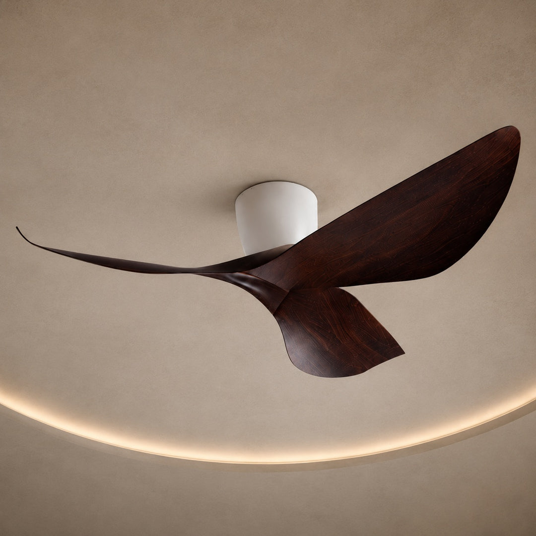 Modern Minimalist Flush Mount Ceiling Fan with Remote Control Quiet DC Motor ABS Blades