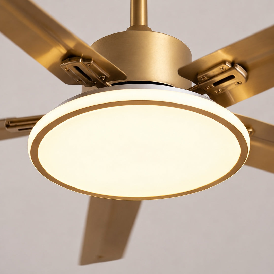 Modern Flush Mount Ceiling Fan Light Stainless Steel Acrylic LED 6-Speed DC Motor