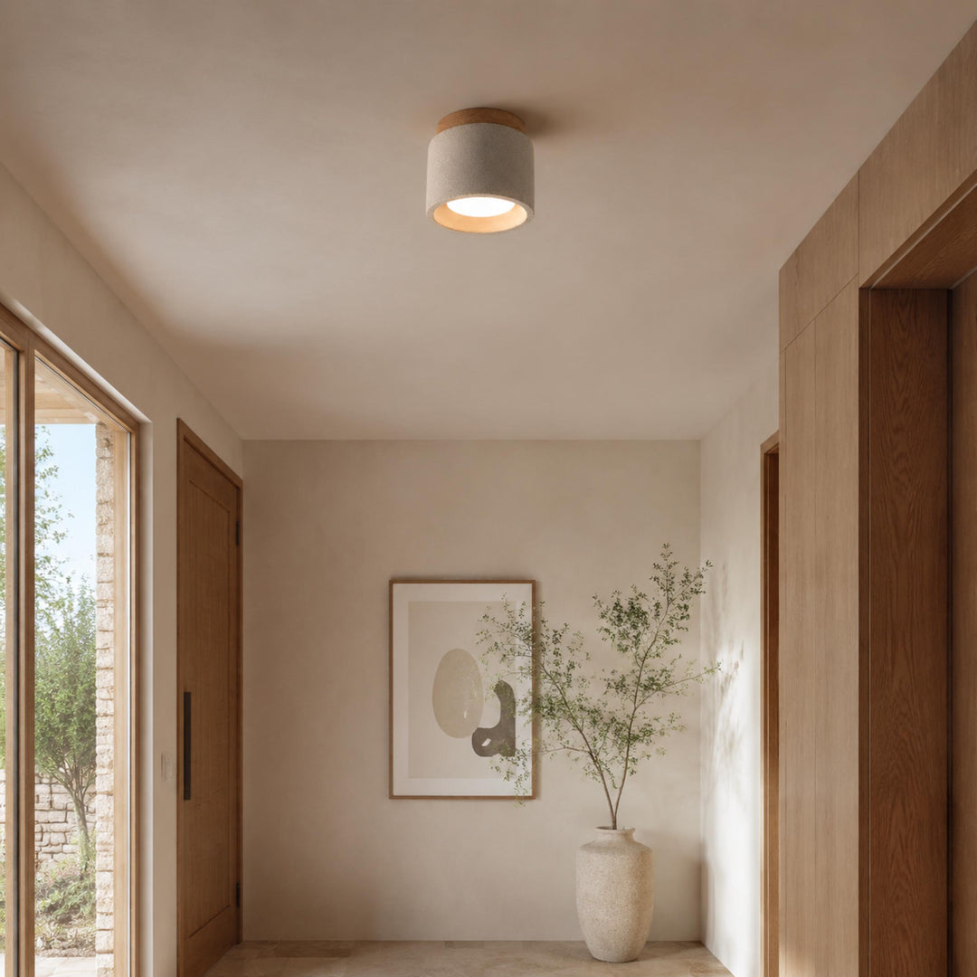 Modern Minimalist Flush Mount Ceiling Light Cement LED Adjustable Color Temperature 685 Lumens