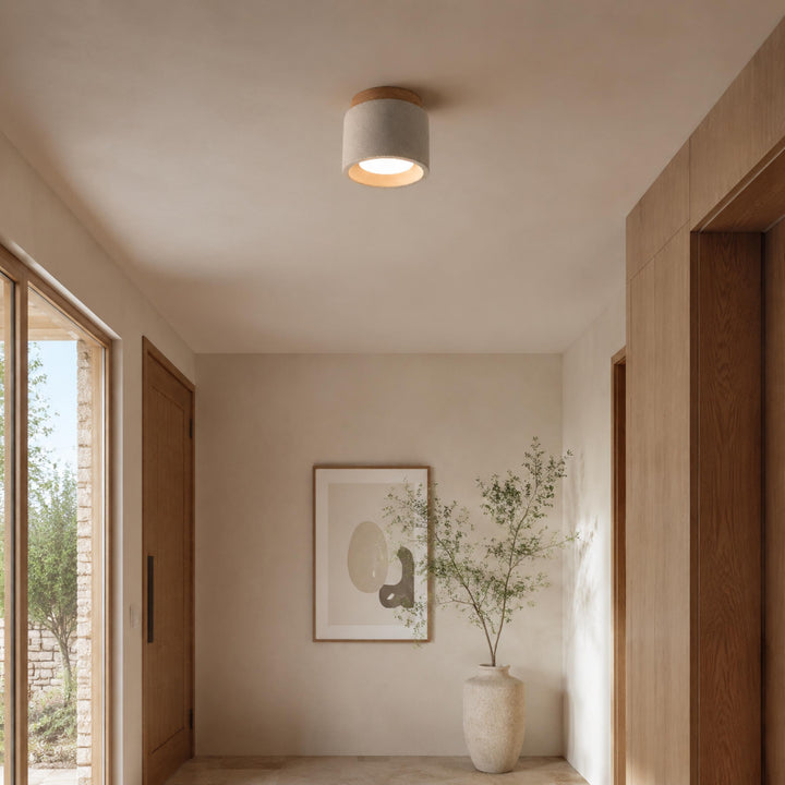 Modern Minimalist Flush Mount Ceiling Light Cement LED Adjustable Color Temperature 685 Lumens