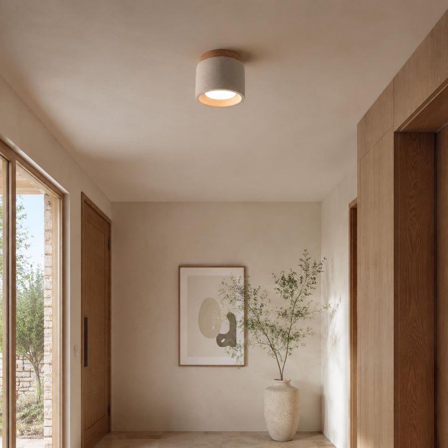 Modern Minimalist Flush Mount Ceiling Light Cement LED Adjustable Color Temperature 685 Lumens in the hallway