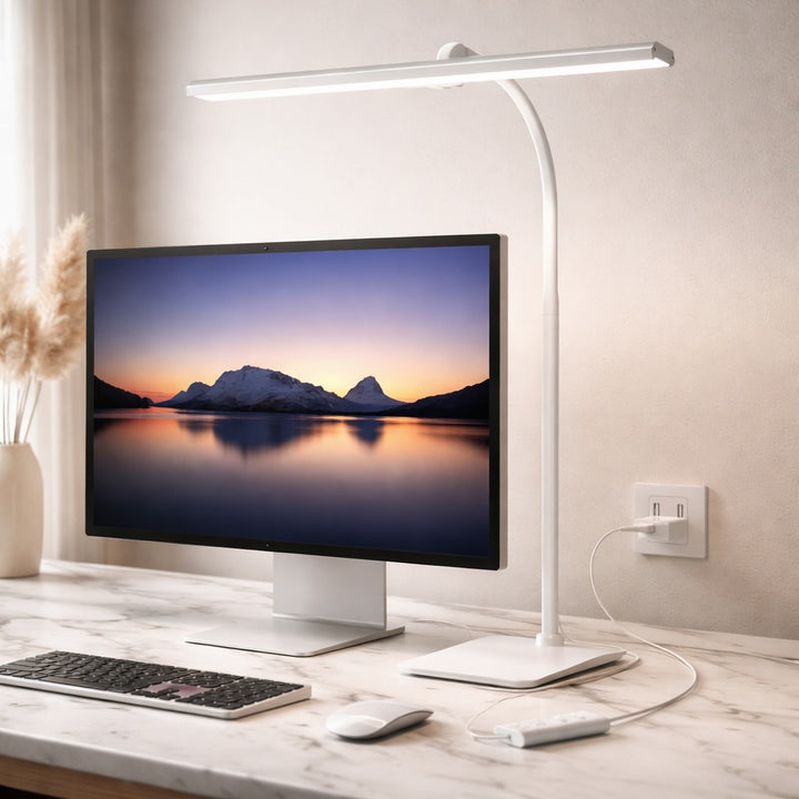 Modern LED Desk Lamp Adjustable Height Gooseneck Frosted Glass Shade Dimmable Power 12V