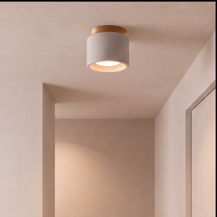 Modern Minimalist Flush Mount Ceiling Light Cement LED Adjustable Color Temperature 685 Lumens